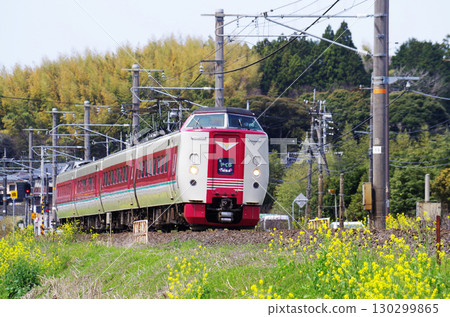 381號八雲號列車行駛在山陰本線上,沿途的黃色油菜花盛開。 381號八雲號列車行駛在山陰本線上,沿途的黃色油菜花盛開。 130299865