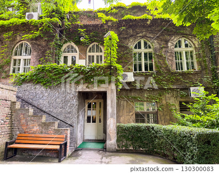 Old ivy covered building with arched windows and stone entrance. Historic architecture, urban greenery and natural adaptation of city space through ivy covered facade. 130300083