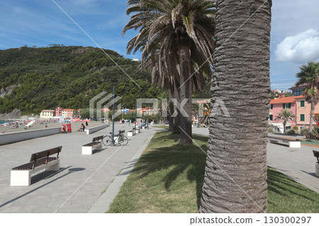 Promenade with palm trees near sea, beach in resort town. Nature and recreation. Sunny day and clear sky. Ecologically clean nature. 130300297