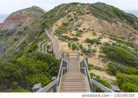 Cape Schanck is the southernmost tip of the Mornington Peninsula, Melbourne, Victoria, Australia. 130300380