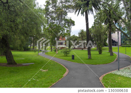 Lush green tree in Johnstone Park in Geelong, Australia. 130300638