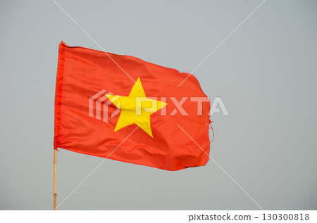Flag of Vietnam. Flag of Vietnam. 130300818