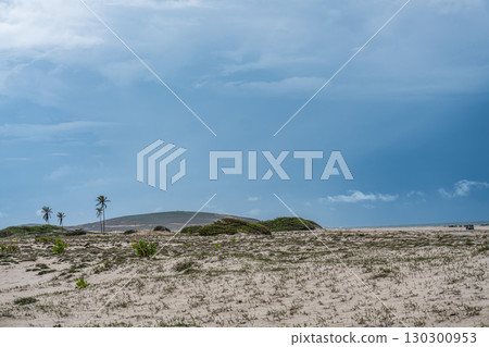 Buggy tour on the Avenida Beira Mar beach road at Jericoacoara, Brazil. Dunes of Ceara 130300953