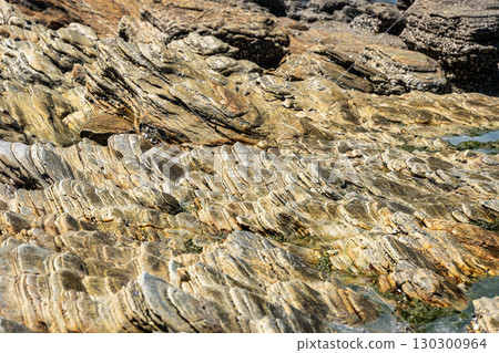 Trail along the coast and beaches from Jericoacoara to Pedra Furada in Ceara State, Brazil. 130300964