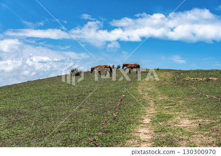 Serrote de Jericoacoara trail along the coast and beaches from Jericoacoara to Pedra Furada in Ceara State of Brazil 130300970