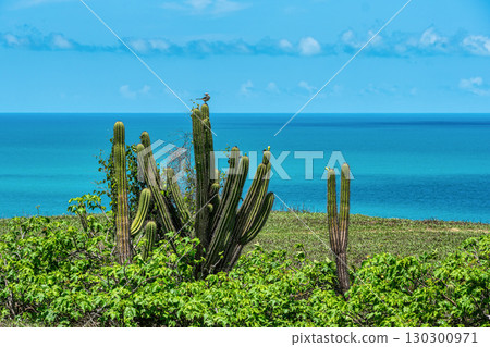 Serrote de Jericoacoara trail along the coast and beaches from Jericoacoara to Pedra Furada in Ceara State of Brazil 130300971
