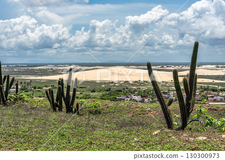 Serrote de Jericoacoara trail along the coast and beaches from Jericoacoara to Pedra Furada in Ceara State of Brazil 130300973