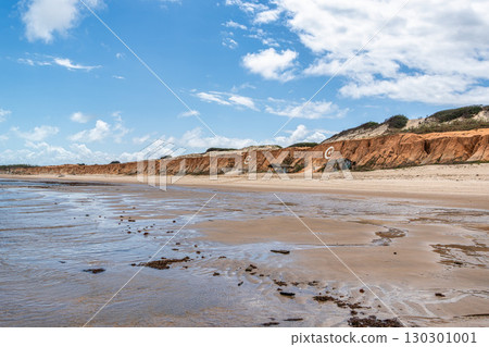 The rock formations at Canoa Quebrada Beach at Canoa Quebrada, state of Ceara, Brazil 130301001