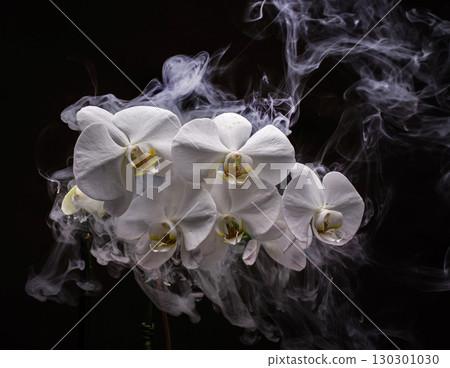 White Orchid Flowers with Smoke. 130301030