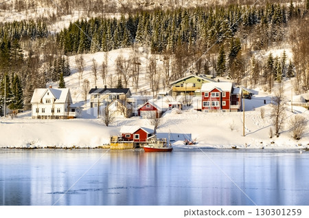 Snow covered coast of Norwegian fjord near Troms at Christmas time. A sunny winter day in Northern Norway above the Arctic Circle Snow covered coast of Norwegian fjord near Troms at Christmas time. A sunny winter day in Northern Norway above the Arctic Circle 130301259