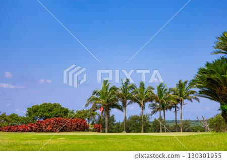 A resort golf course and green flags, lit by a refreshing tropical blue sky and palm trees swaying in the southern breeze (Miyakojima City, Okinawa Prefecture) 130301955