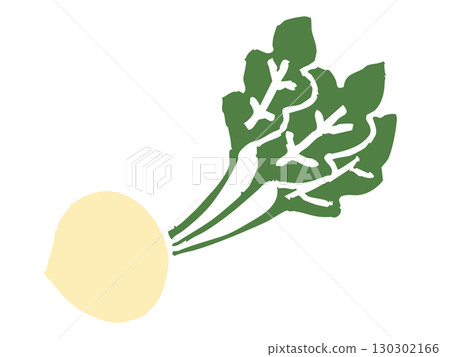 Simple and cute hand-drawn turnip 130302166