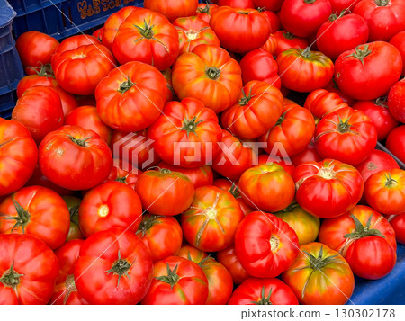 Large red tomatoes with irregular shapes on market stall. Agriculture, farming, and seasonal vegetable harvest with healthy nutrition lifestyle. Large red tomatoes with irregular shapes on market stall. Agriculture, farming, and seasonal vegetable harvest with healthy nutrition lifestyle. 130302178