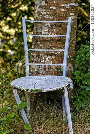 Worn White Wooden Chair Leaning Against Tree Worn White Wooden Chair Leaning Against Tree 130303824