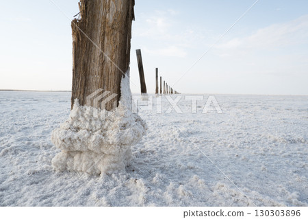 A weathered tree trunk stands in a salt zone surrounded by a white salt crust. The landscape is barren and unforgettable under the glow of the sky A weathered tree trunk stands in a salt zone surrounded by a white salt crust. The landscape is barren and unforgettable under the glow of the sky 130303896