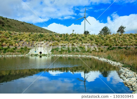New Zealand Wind Farm Wetland 130303945