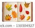 Herbarium. Realistic book with autumn leaves on old pages, dry orange leaf fall foliage applique nature collection 3d vector illustration 130304927