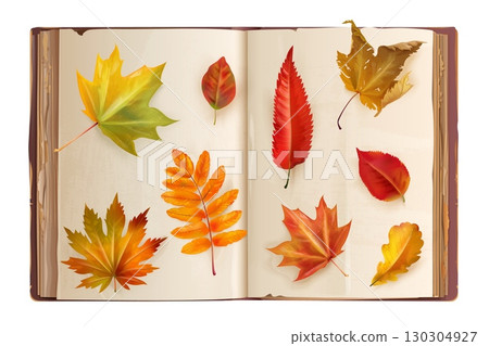 Herbarium. Realistic book with autumn leaves on old pages, dry orange leaf fall foliage applique nature collection 3d vector illustration 130304927