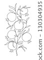 Branch with pomegranates and leaves. Modern single line art drawing. Continuous line drawing. Outline draw design vector illustration 130304935