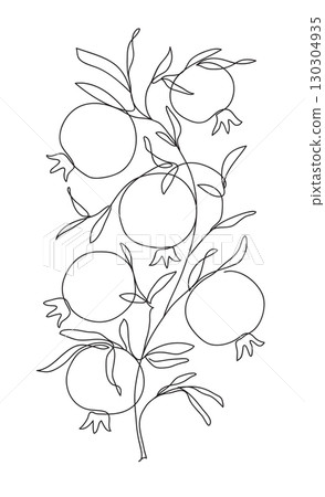 Branch with pomegranates and leaves. Modern single line art drawing. Continuous line drawing. Outline draw design vector illustration 130304935