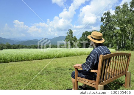 An old man resting on a bench in a buckwheat field 130305466