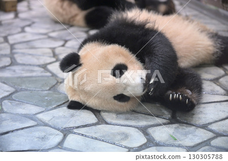 在長濱放鬆身心 在長濱放鬆身心 130305788