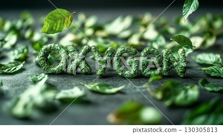 Green leaves with the word OXIGEN written with leaves 130305813