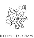 Leaf simple outline hand drawn doodle vector illustration, floral botanical minimalist image for environment projects, nature concept, coloring page, scrapbooking, line art sketch 130305879