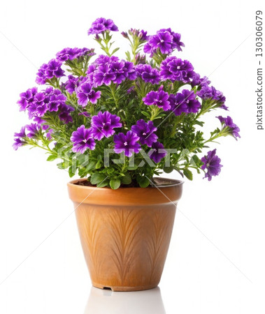Potted Plant With Purple Flowers. Generative AI 130306079