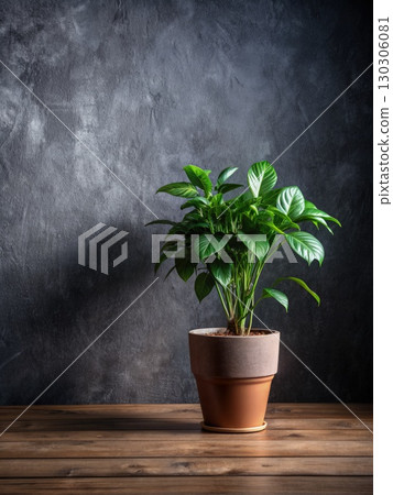 Potted Plant on Wooden Table. Generative AI 130306081