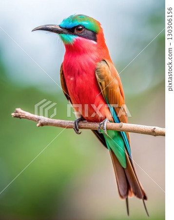 Colorful Bird Perched on Tree Branch. Generative AI 130306156