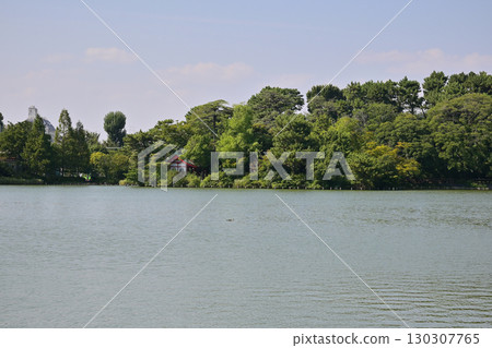 洗過的池塘 130307765