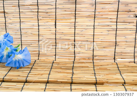 Blind morning glory Blind morning glory 130307937