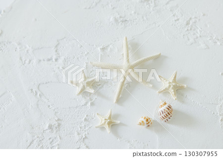 White Seashell 130307955