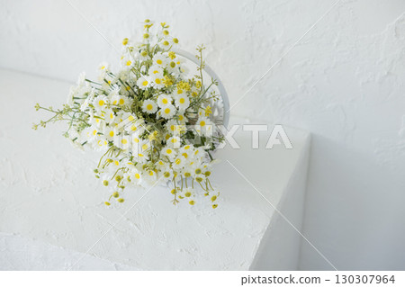 白色桌子上的多肉植物 130307964