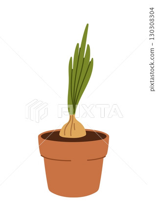Potted sprouting onion bulb in a terracotta pot with green shoots. Isolated cartoon flat vector icon represents home gardening, plant growth, sustainability, farm or garden produce, organic lifestyle 130308304