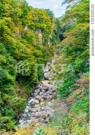 Oyasu Gorge in early autumn, Akita, from Kawarayu Bridge Oyasu Gorge in early autumn, Akita, from Kawarayu Bridge 130308520