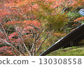 Hakuryuen Garden, Kyoto 130308558