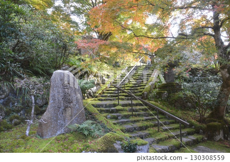 Hakuryuen Garden, Kyoto 130308559