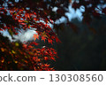 Hakuryuen Garden, Kyoto 130308560