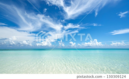 A magnificent view of the clear shallow waters of the tropical blue sea and summer sky 130309124