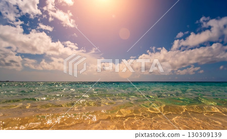 Summer sea illuminated by the setting sun | Transparent golden waves 130309139