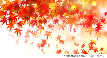 Autumn leaves maple autumn background Autumn leaves maple autumn background 130309742