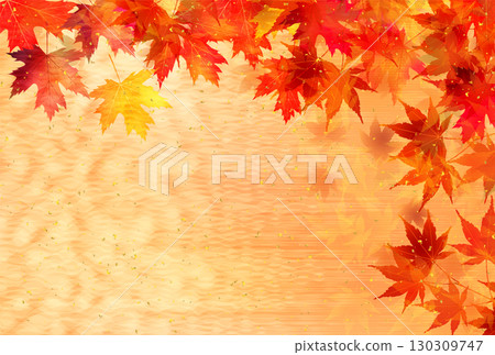  Autumn leaves maple autumn background 130309747