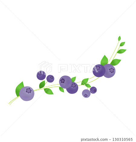 流動的藍莓線條素材 130310565