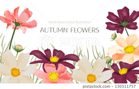 Cosmos frame painted in watercolor 130311757