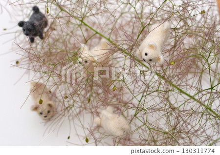 毛氈小狗聚集在黃櫟上 毛氈小狗聚集在黃櫟上 130311774