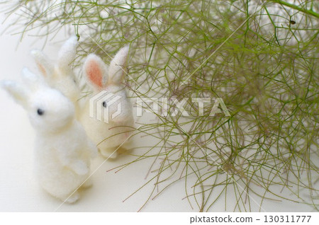 毛氈兔子聚集在黃櫟的花穗周圍 130311777