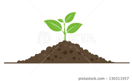 Green sprout with two leaves growing in soil, illustrating ecology, nature, and the cycle of life 130311957