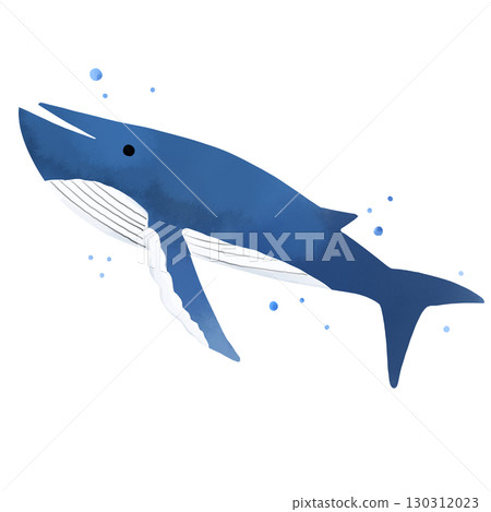 游泳的鯨魚和水滴的水彩插圖 游泳的鯨魚和水滴的水彩插圖 130312023